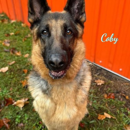 COBY BERGER ALL X PHOTO